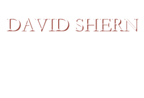 Never Forgotten
DAVID SHERN
1974 - 2009
Son, Brother, Father, Friend
and Husband
We Miss You, Dave!
